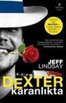 Jeff Lindsay - Dexter Karanlikta
