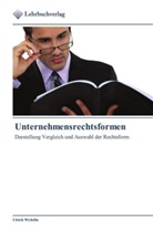 Ulrich Wehrlin - Unternehmensrechtsformen