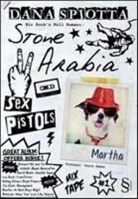 Dana Spiotta - Stone Arabia