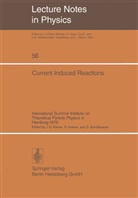 J. G. Körner, Kramer, G Kramer, G. Kramer, D Schildknecht, D. Schildknecht - Current Induced Reactions