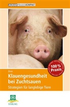 Martin Ziron - Klauengesundheit bei Zuchtsauen