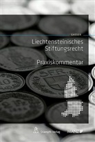 Johannes Gasser - Liechtensteinisches Privatstiftungsrecht