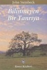 John Steinbeck - Bilinmeyen Bir Tanriya