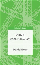 D Beer, D. Beer, David Beer - Punk Sociology