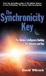David Wilcock - Synchronicity Key