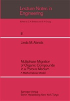 Linda M Abriola, Linda M. Abriola - Multiphase Migration of Organic Compounds in a Porous Medium