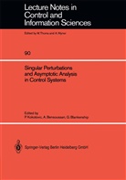 Alai Bensoussan, Alain Bensoussan, Gilmer L. Blankenship, Petar V. Kokotovic, Gilmer L Blankenship - Singular Perturbations and Asymptotic Analysis in Control Systems