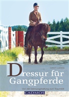Kirsti Ludwig - Dressur für Gangpferde