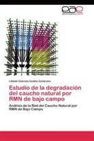 Lilibeth Gabriela Gudiño Zambrano - Estudio de la degradación del caucho natural por RMN de bajo campo