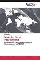 Bruno Netri - Derecho Penal Internacional