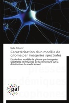 Nadia Amharref, Amharref-n - Caracterisation d un modele de