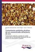 José Parga T, José R Parga T, José R. Parga T., Valenzu, Jesús L. Valenzuela G., Alejandr Valenzuela Soto... - Tratamiento oxidante alcalino de un concentrado refractario de oro