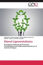 Ignacio Contrera Andrade, Carlo Guerrero Fajardo, Carlos Alberto Guerrero Fajardo, Fabio Emir Sierra Vargas, Fabio Emiro Sierra Vargas - Etanol Lignocelulósico