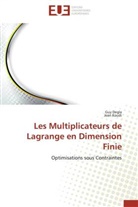 Gu Degla, Guy Degla, Degla Guy, Jean Koudi, Koudi Jean - Les multiplicateurs de lagrange