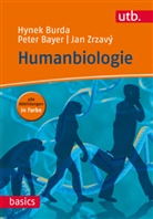 Pete Bayer, Peter Bayer, Peter (Prof. Dr. Bayer, Peter (Prof. Dr.) Bayer, Hyne Burda, Hynek Burda... - Humanbiologie