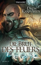 Drew Karpyshyn - Die Brut des Feuers