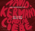 Navid Kermani, Navid (Dr.) Kermani, Christian Brückner - Große Liebe, 4 Audio-CDs (Audiolibro)