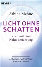 Sabine Mehne - Licht ohne Schatten