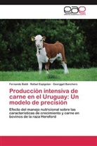 Fernando Baldi, Georgg Banchero, Georgget Banchero, Rafael Espigolan - Producción intensiva de carne en el Uruguay: Un modelo de precisión
