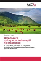 CÃ©sar Otero OrtuÃ±o, César Otero Ortuño - Ctenosaura quinquecarinata reptil nicaragüense
