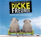 Stephan Bartels, Christian Ulmen - Dicke Freunde, 4 Audio-CD (Audiolibro)
