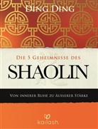 Ding Ding, Ding (Dr.) Ding - Die 5 Geheimnisse des Shaolin