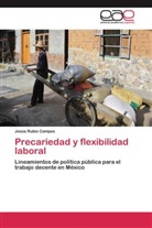 Jesús Rubio Campos - Precariedad y flexibilidad laboral