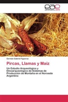 Germán Gabriel Figueroa - Pircas, Llamas y Maíz