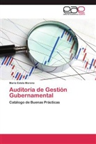 María Estela Moreno - Auditoría de Gestión Gubernamental