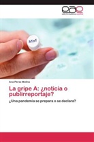 Ana Pérez Molina - La gripe A: ¿noticia o publirreportaje?