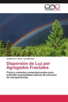 Luis Mochán, Guillermo Ortiz, Guillermo P Ortiz, Guillermo P. Ortiz - Dispersión de Luz por Agregados Fractales