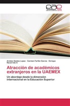 Carme Farf&aacute;n Garc&iacute;a, Carmen Farf&aacute;n Garc&iacute;a, Navarr, Enrique Navarrete S, Ariste Santos Lopez, Aristeo Santos Lopez - Atracci&oacute;n de acad&eacute;micos extranjeros en la UAEMEX