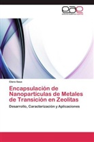 Clara Saux - Encapsulación de Nanopartículas de Metales de Transición en Zeolitas