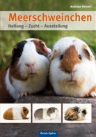 Andreas Reinert - Meerschweinchen