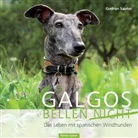 Gudrun Sauter - Galgos bellen nicht