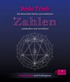 Bodo Trieb - Die Botschaft Deiner persönlichen Zahlen entdecken und verstehen