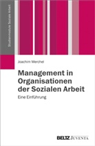 Joachim Merchel - Management in Organisationen der Sozialen Arbeit