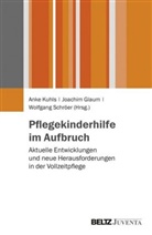 Joachi Glaum, Joachim Glaum, Anke Kuhls, Wolfgang Schröer - Pflegekinderhilfe im Aufbruch