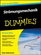Peter Hakenesch - Strömungsmechanik für Dummies