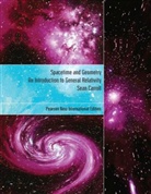 Sean Carroll - Spacetime and geometry