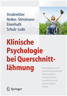 Jörg Eisenhuth, Peter Lude, Martin Neikes, Martina Neikes, Barbara Schulz, Daniel Stirnimann... - Klinische Psychologie bei Querschnittlähmung
