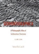 Franco Ricci Lucchi, Lucchi Ricci, Franco Ricci Lucchi - Sedimentographica