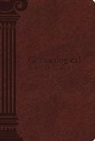 Thomas Nelson, Thomas Nelson, Thomas Nelson Publishers, Nelson Bibles - The Chronological Study Bible