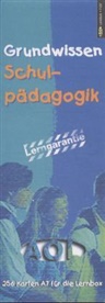Grundwissen Schulpädagogik, Lernkarten