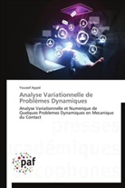 Youssef Ayyad, Ayyad-y - Analyse variationnelle de