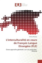 Jérémy Alloyeau, Alloyeau-j - L interculturalite en cours de