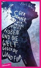 Elvis Peeters - Der Sommer, als wir unsere Röcke hoben und die Welt gegen die Wand fuhr