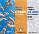 Peter Abrahams, Peter (Warwick University Medical School) Abrahams, Faisal Rahman, Faisal (Boston Medical Center) Rahman, Faisal et Rahman, Rahman Faisal... - Medical Sciences At a Glance Text and Workbook