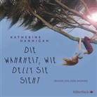Katherine Hannigan, Jodie Ahlborn - Die Wahrheit, wie Delly sie sieht, 4 Audio-CDs (Audio book)