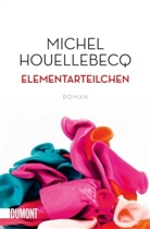 Michel Houellebecq - Elementarteilchen
